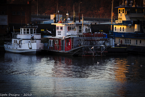 Boats in The Harbor