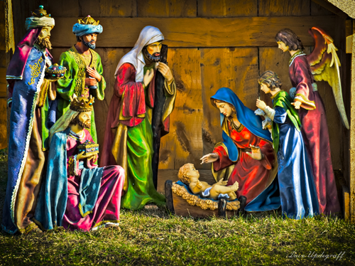 Nativity Display