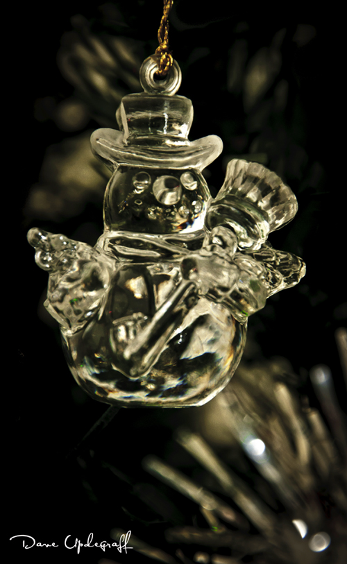 Christmas Tree Resident 3