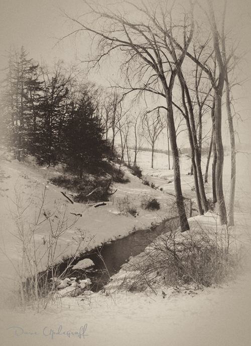 Winter Stream
