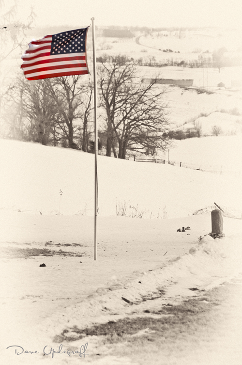 Flag in Winter