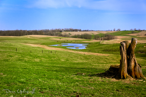 Farm Pond 