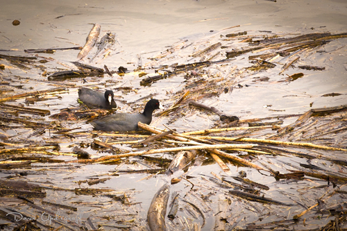 Riverwalk April 2011 - 3
