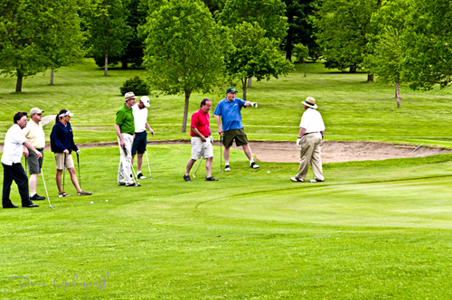 Best Shot?  Or the least worse one!