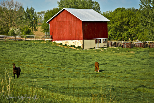 Barn in May - 2011