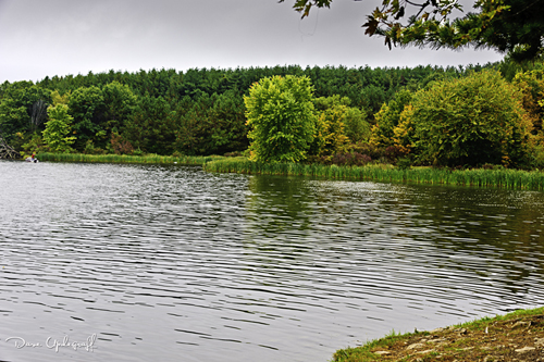Black Hawk Lake Recreation Area