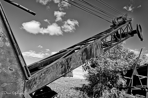 Crane in black and white