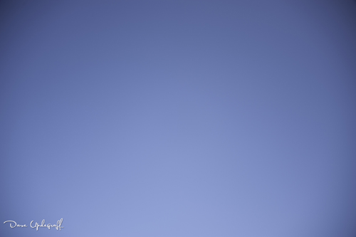 Sensor Test For Dust