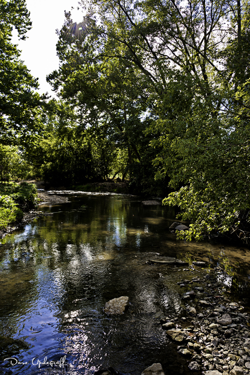 Catfish Creek @ Swiss Valley