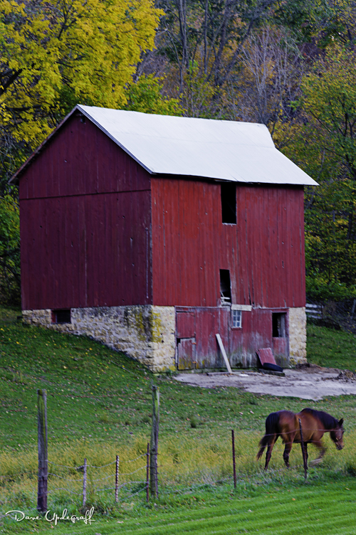 Fall Leaves of October 2011