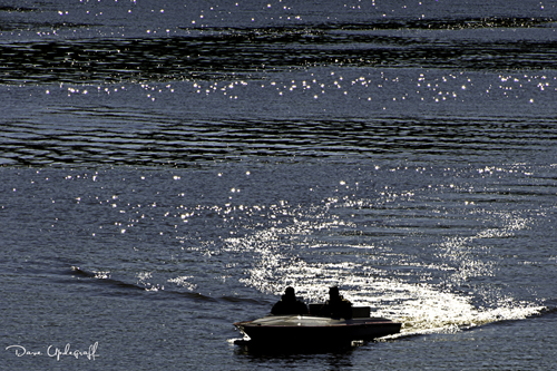 Speed boat on the river