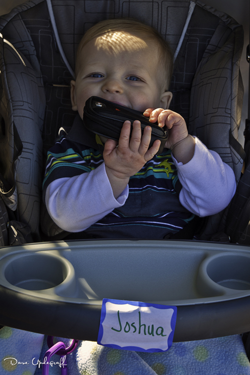 Joshua and his new chew toy