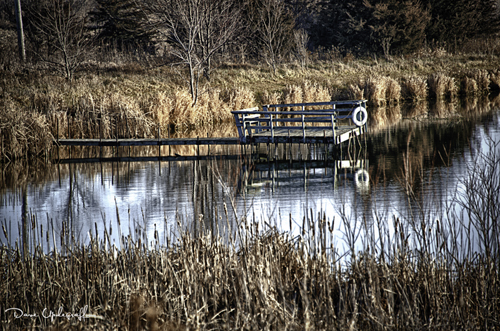Dock on a pond