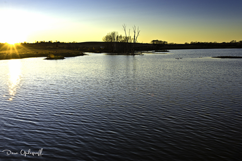 Hurstville Pond At Sunset