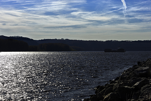 Barge on the River