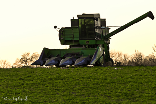 Thursday-11-03-2011-A