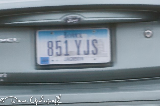 First Shot with Sigma 150-500 mm lens