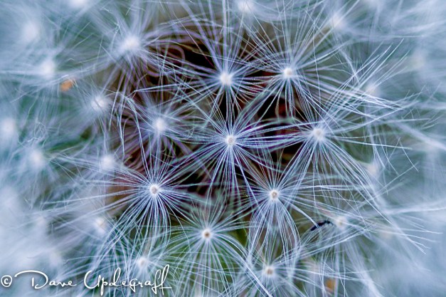 Hurstville_Shoot-2012_2AA A Geometric Shape