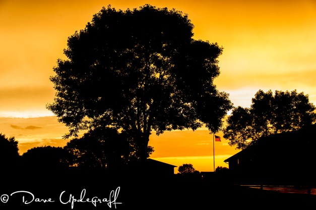 BackYard Sunset - 2012