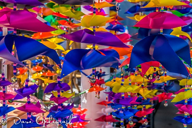 FarmersMarket-June-2012-A Pretty Windmills