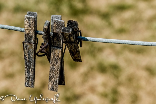 Clothes_Pins-3 Clothes Pins