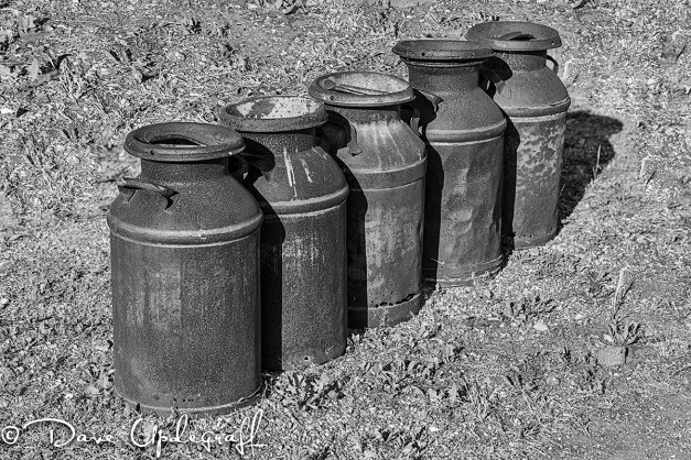 A row of milk cans