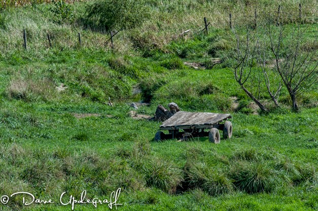 Just a wagon in a field
