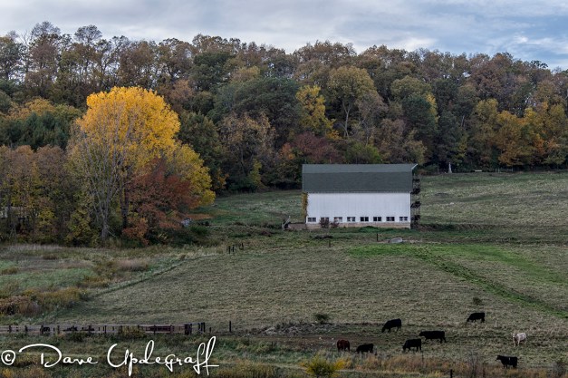 Fall Farm Scene