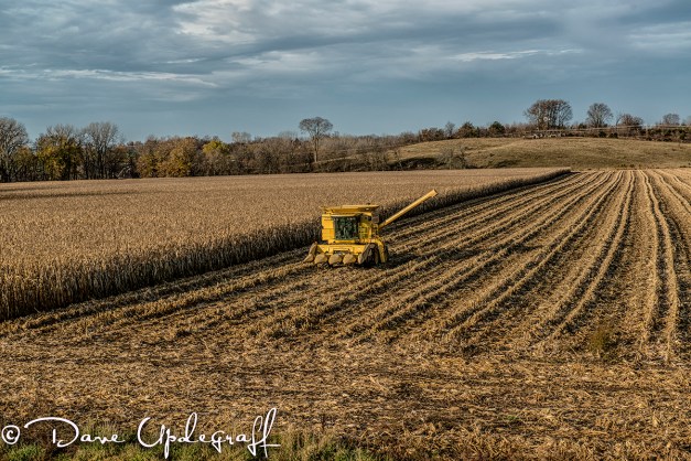 Lonely Combine in a Field