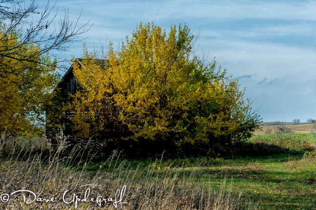 October-24-2012-C Fall scene