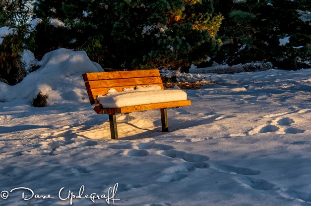 Golden light on a bench