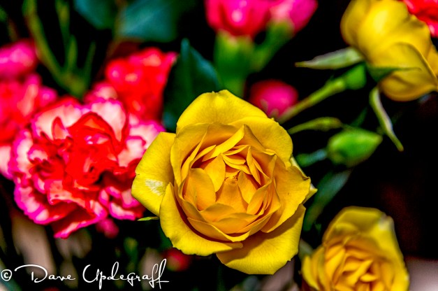 Flowers from my Sweetie