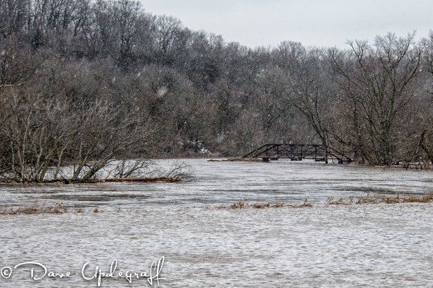 Flooding Near Hurstville