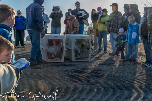 Ready for the release