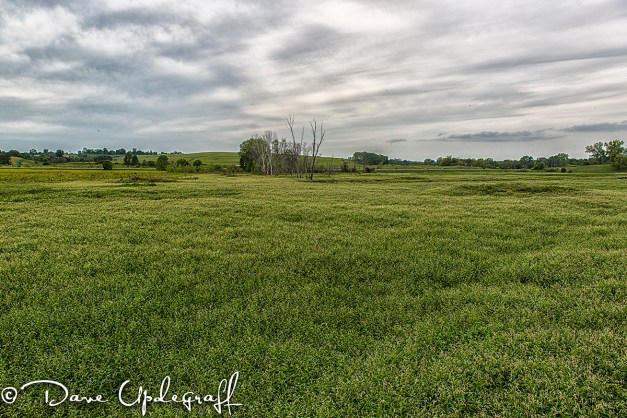 Hurstville Duck Pond 08/31/2012