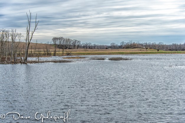 Hurstville Duck Pond 04/15/2013