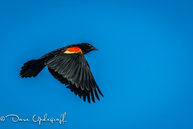 RWBB returning from a mission