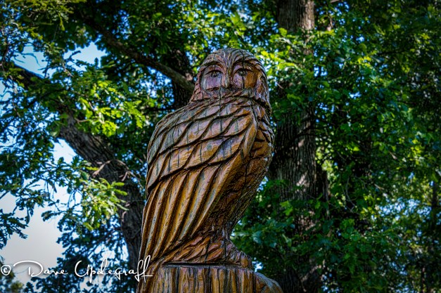 Owl sculpture