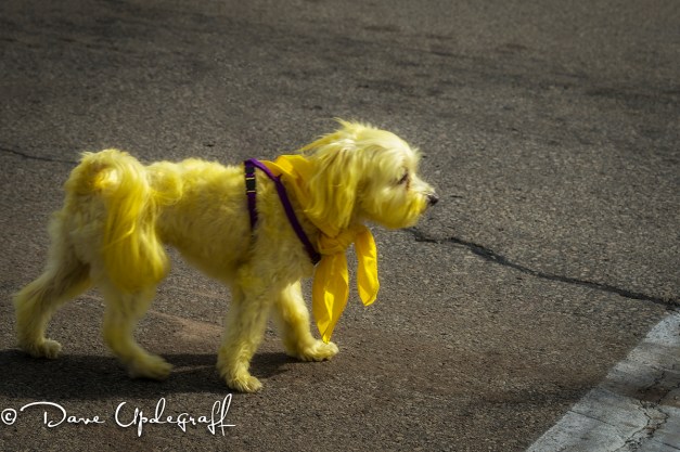 September-01-2013-2A