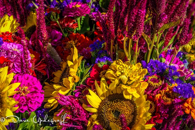 September-14-4A-2013