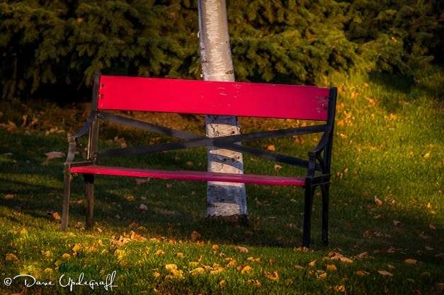 Just a red bench