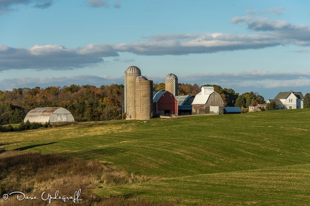 A farm Scene