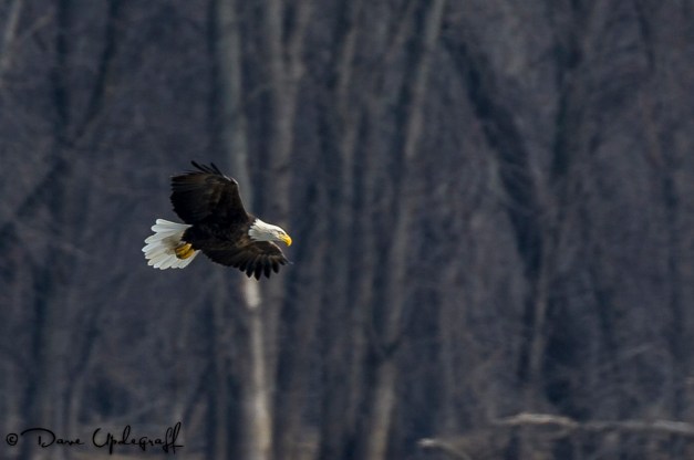 February-08-2013-14B