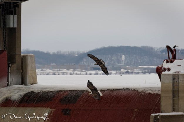 Closing for the catch