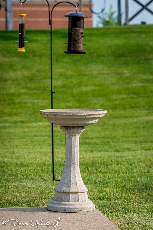 Birdbath