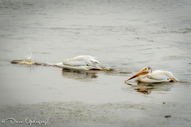 July-20-2014-07-12-14-C