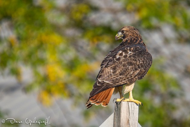 September-28-2014-1A