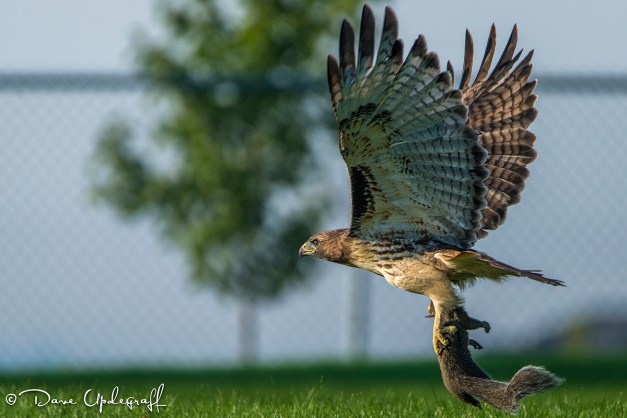 September-28-2014-1D