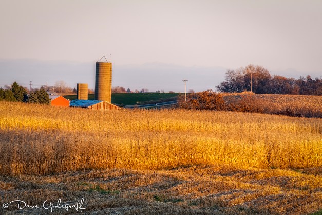 Farm at sun set