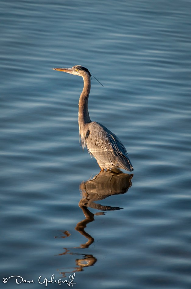 January-13-2015-02-25-12-A